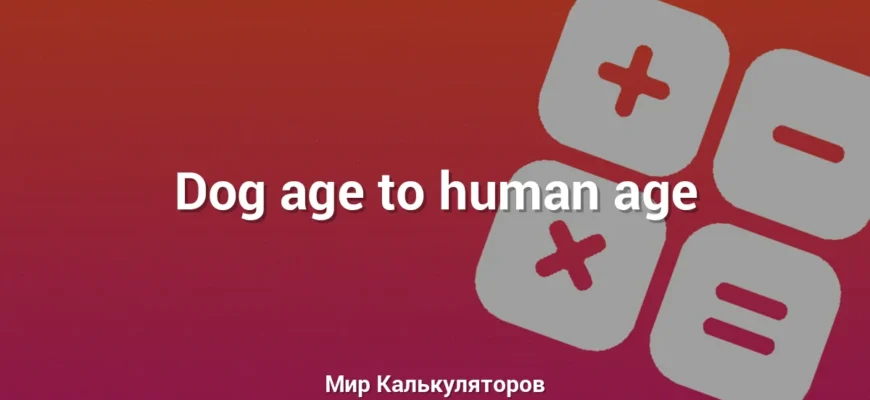 Dog age to human age